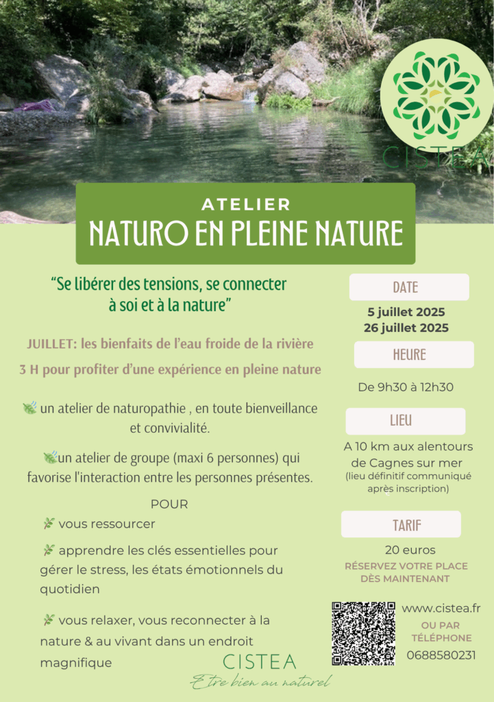 Atelier Naturo en pleine nature